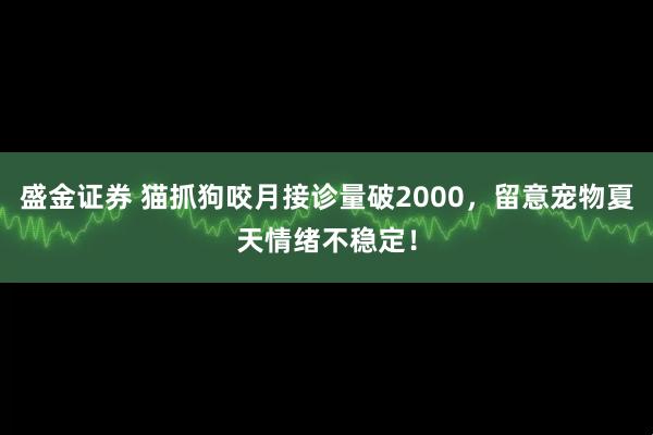 盛金证券 猫抓狗咬月接诊量破2000，留意宠物夏天情绪不稳定！