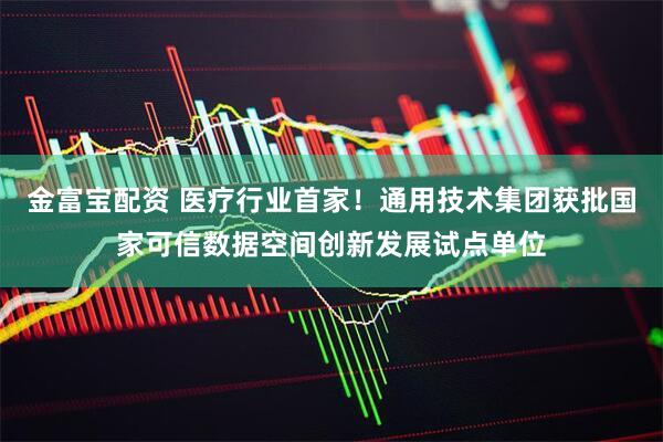 金富宝配资 医疗行业首家！通用技术集团获批国家可信数据空间创新发展试点单位