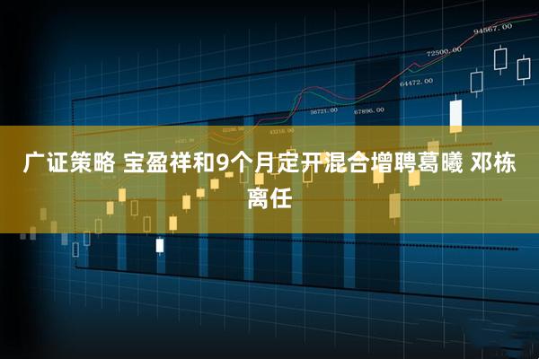 广证策略 宝盈祥和9个月定开混合增聘葛曦 邓栋离任