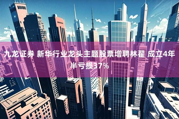 九龙证券 新华行业龙头主题股票增聘林翟 成立4年半亏损37%