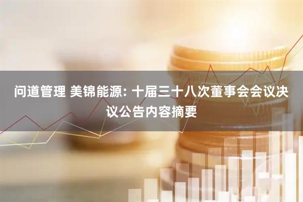 问道管理 美锦能源: 十届三十八次董事会会议决议公告内容摘要