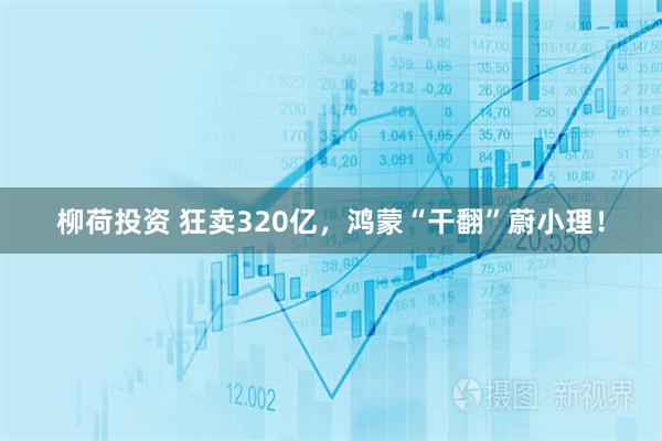 柳荷投资 狂卖320亿，鸿蒙“干翻”蔚小理！